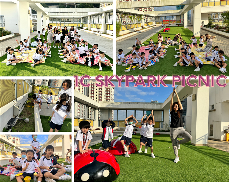 1C SkyPark Picnic